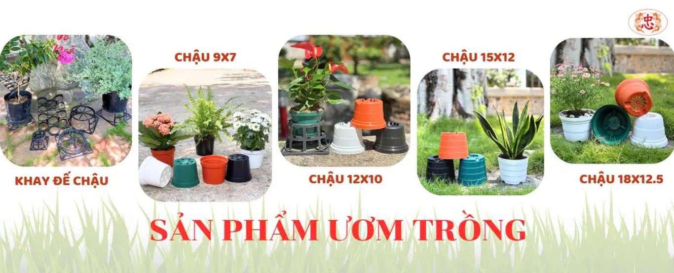 SẢN PHẨM ƯƠM TRỒNG