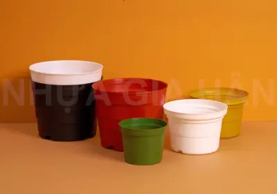 VÌ SAO CHẬU NHỰA LÀ LỰA CHỌN HÀNG ĐẦU CHO CÁC FARM?